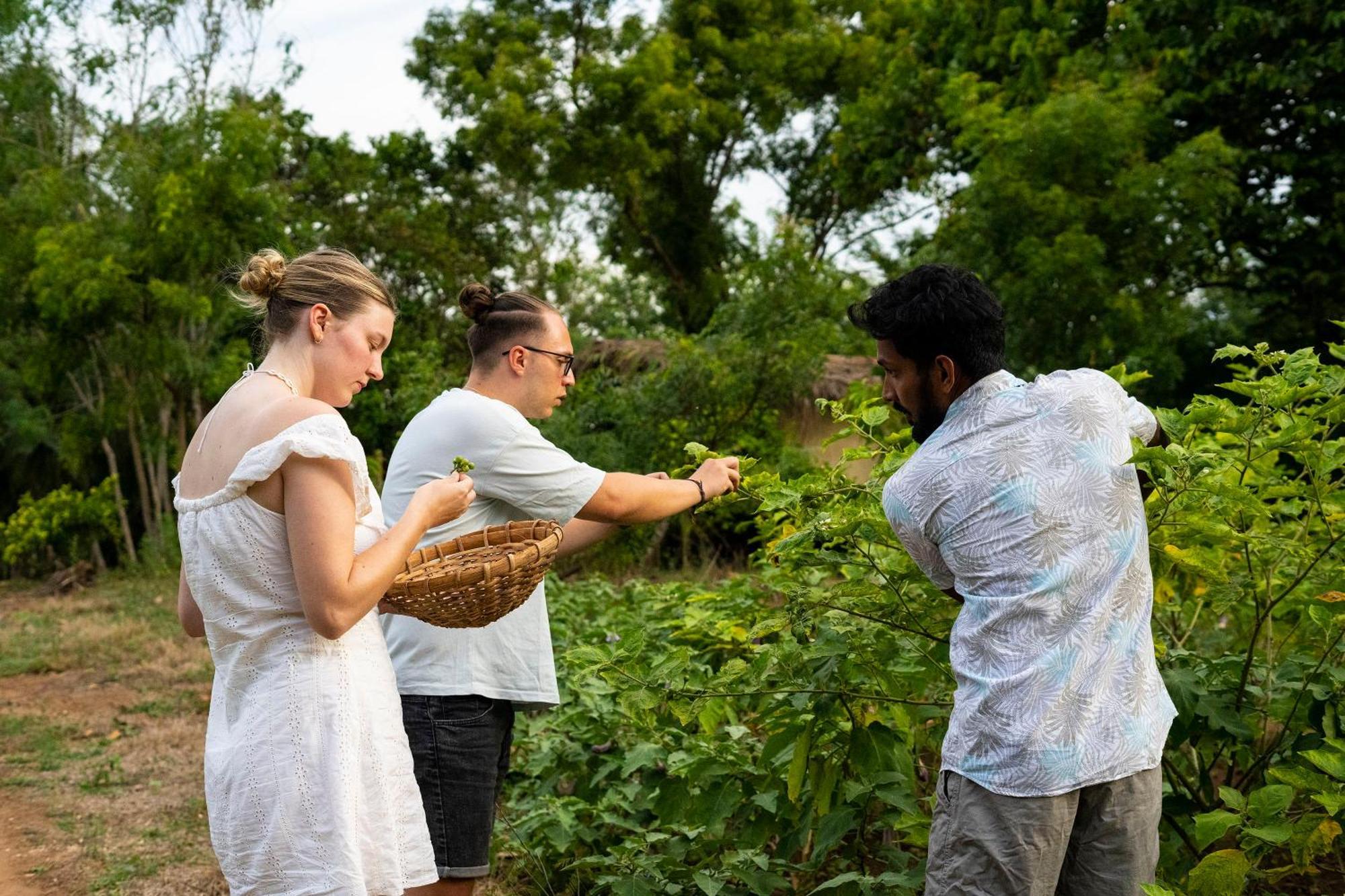 River Paradise Safari House With Cooking Class Udawalawe Dış mekan fotoğraf